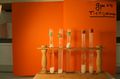 gal/LES_CINQUIEMES/ACTIVITE DIGESTION IN VITRO/Groupe_04/Groupe04_T_01h20min/_thb_Groupe04_T_01h_20min_10.JPG